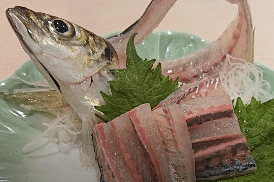 アジの3枚おろし